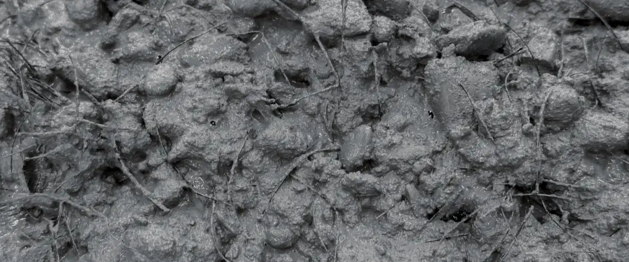 fibers distribute throughout the concrete